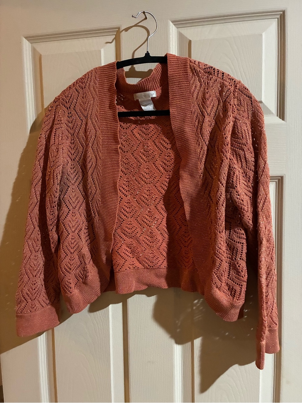 Worthington Open-Front Crochet Cardigan in Rusty Orange